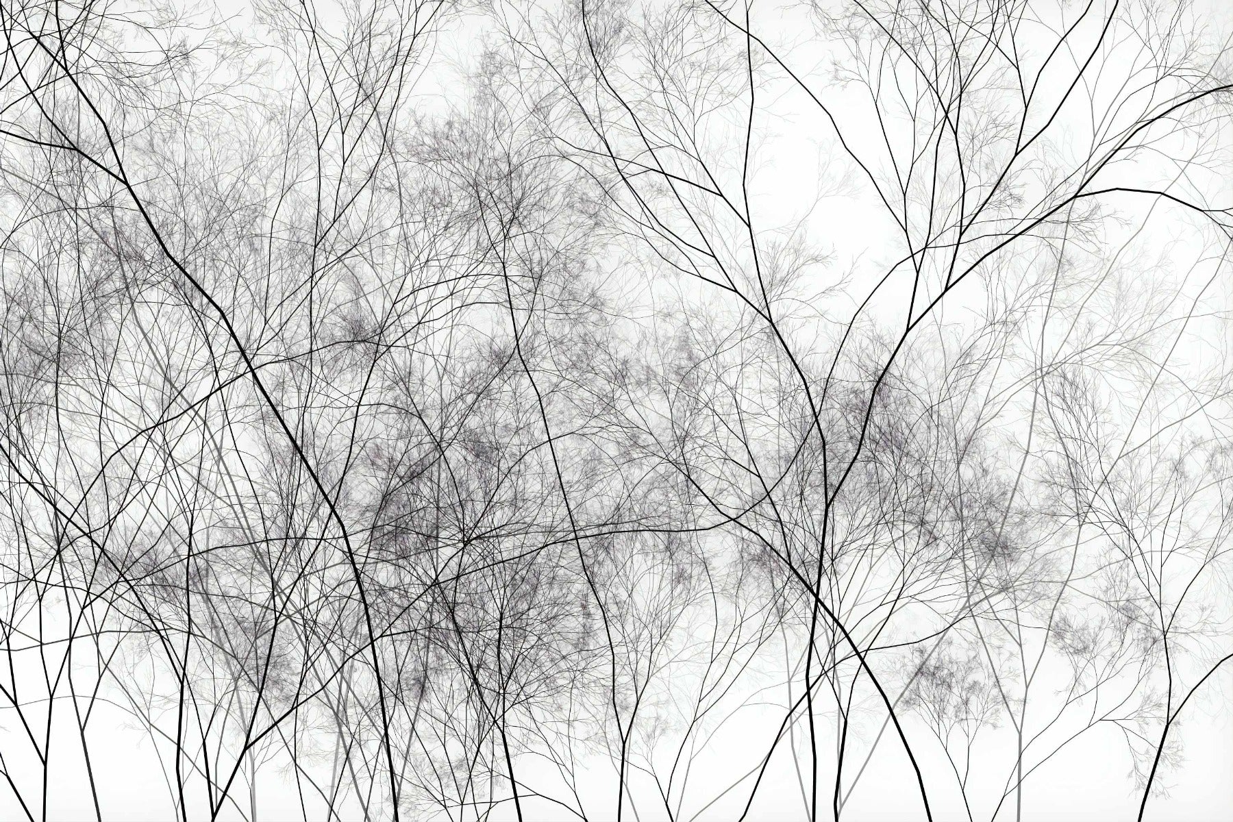 Tree Veins Art Wallpaper Murals in your room — zoomed