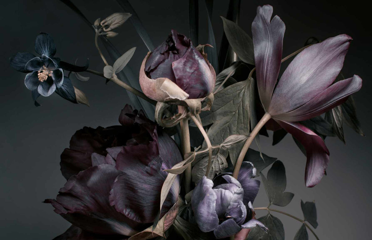 Dusk Flowering Peonies and Tulips Wall Mural in your room — zoomed