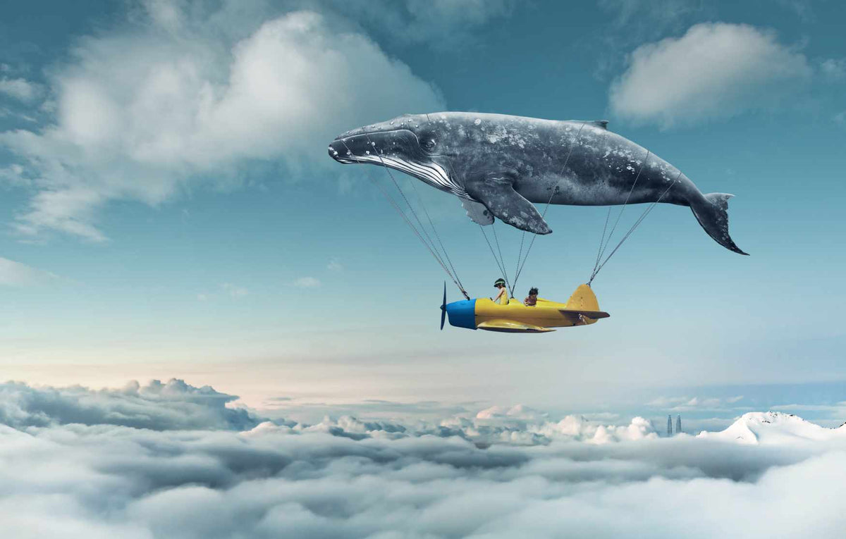 Whale Sky Dreams Celestial Voyage Mural in your room — zoomed