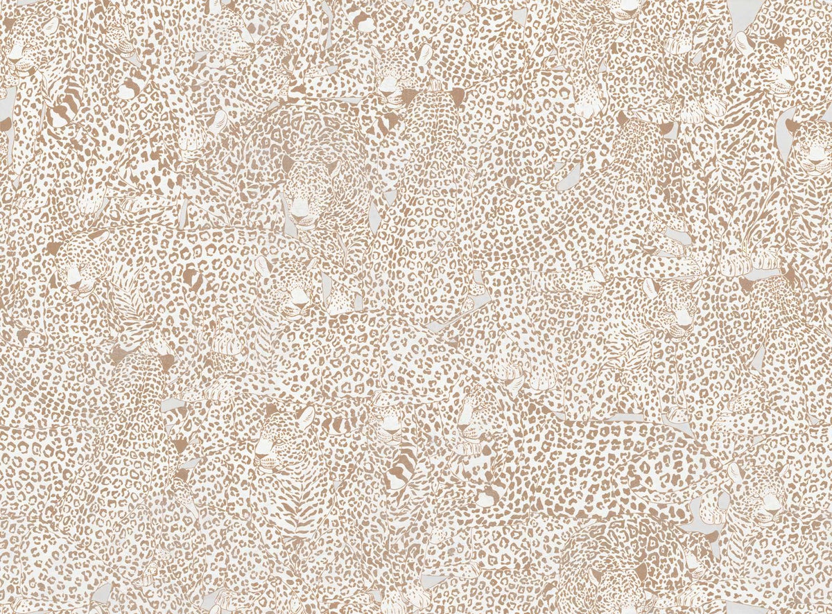 Cheetah Print Wallpaper in your room