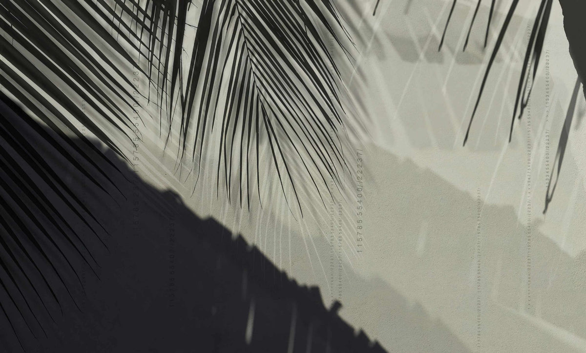 Palm Leaf Shadow Wallpaper Mural in your room — zoomed