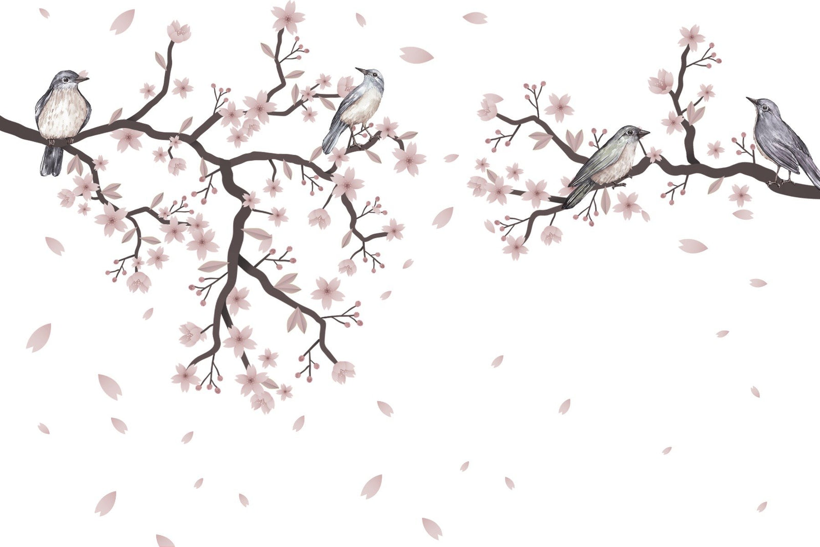 Cherry Blossom Serenade Wall Mural in your room