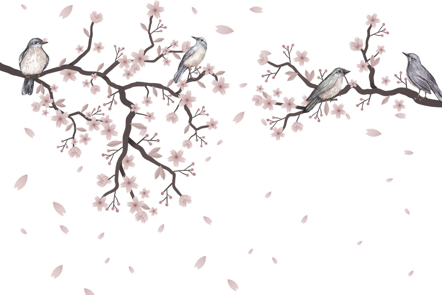 Cherry Blossom Serenade Wall Mural in your room — zoomed