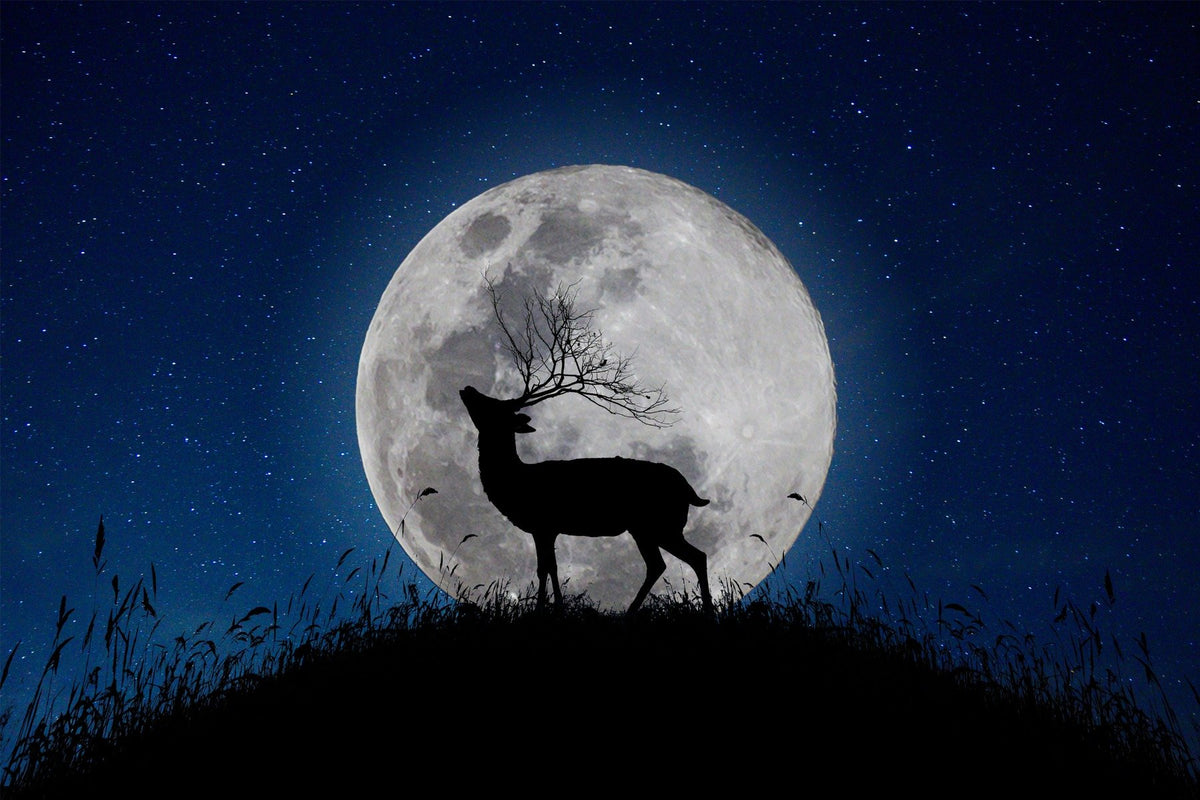Skyward Stag Lunar Watcher Halloween Night Wallpaper Mural in your room — zoomed
