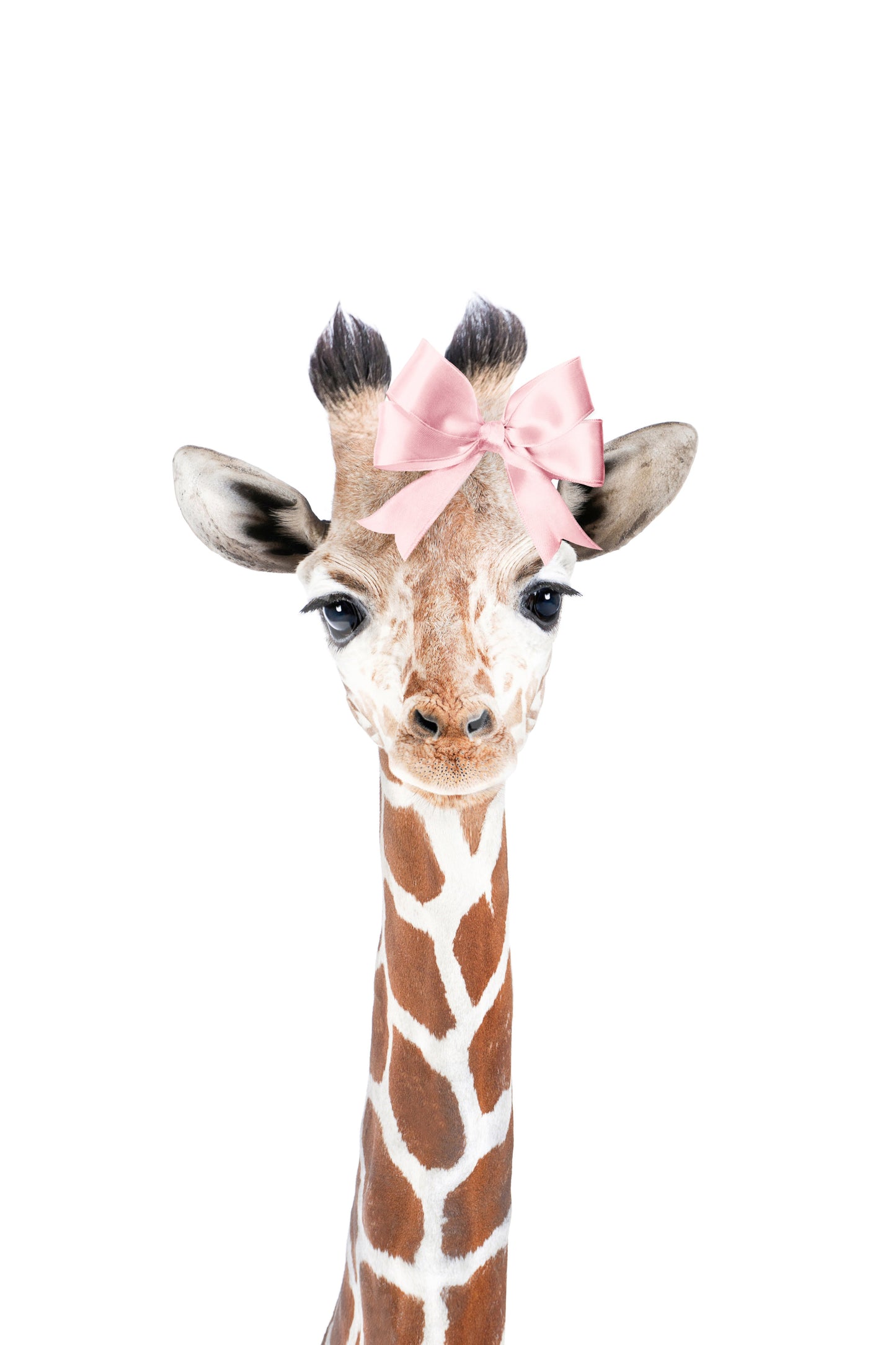 Sweet baby giraffe mural with bow tie for nursery decor