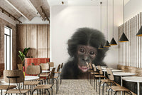 Funny baby monkey animal wallpaper for playful spaces