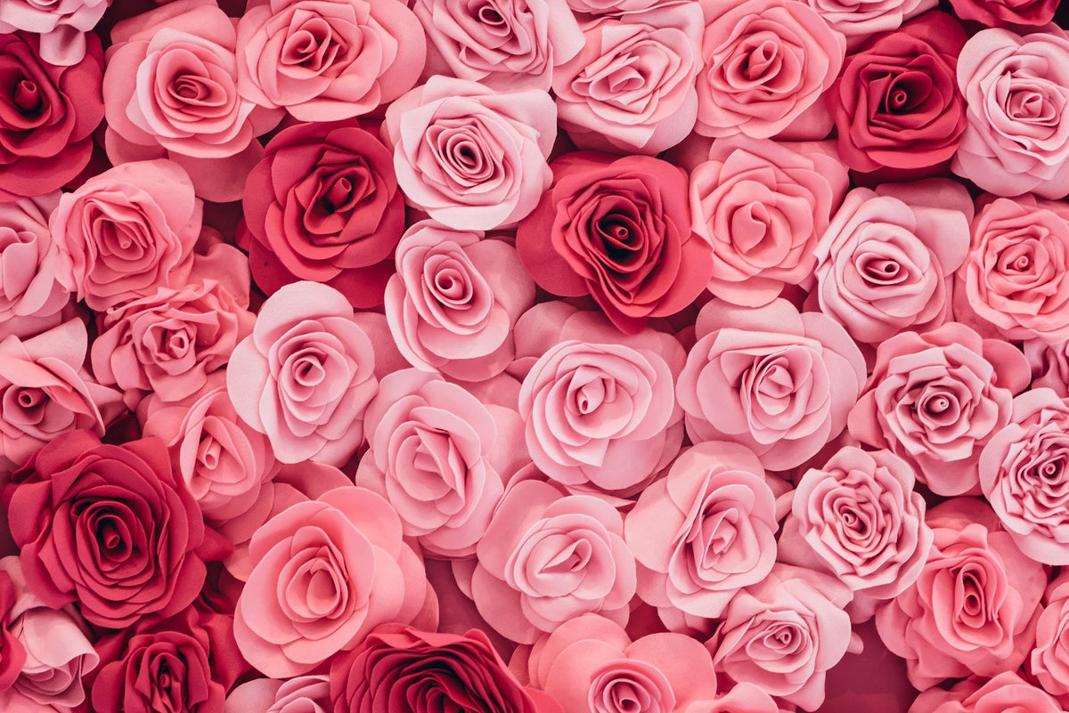 Pink Roses Wallpaper Mural in your room