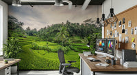 Calm Bali Rice Terraces scene permanent wallpaper product.