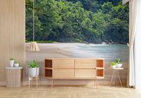 Beach Haven wall mural of sand and turquoise surf above a wood sideboard console and potted plants in a hallway