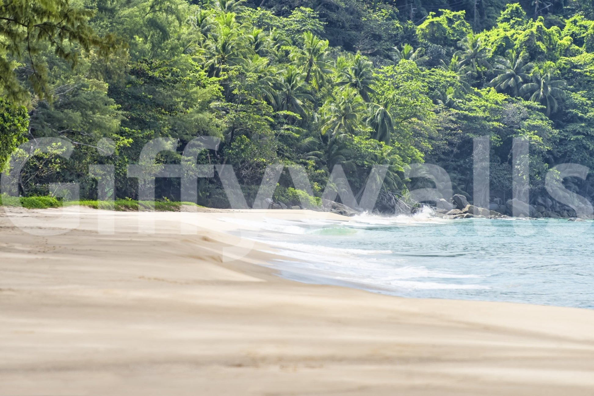 Beach Haven wall mural shown full-wall: a quiet sandy beach meeting turquoise waves below a dense green jungle