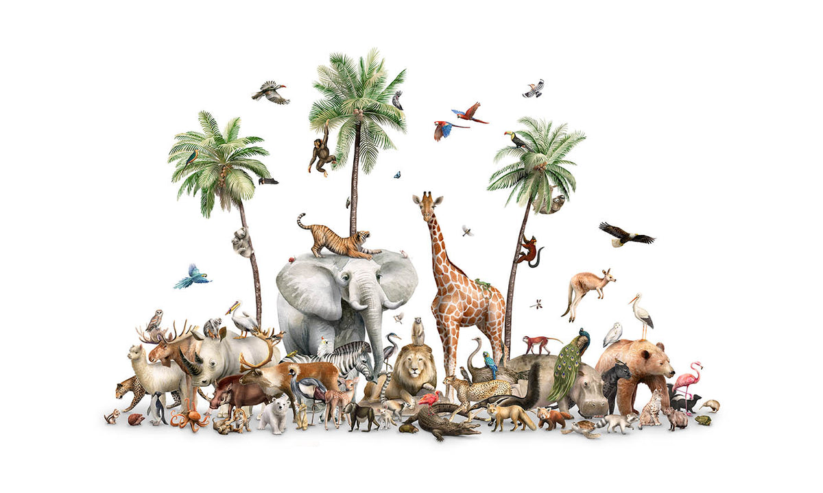 Jungle Safari Animal Birds Wallpaper Mural in your room — zoomed
