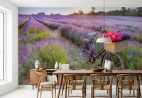 Wallpaper for walls featuring Bicycle in a Lavender Field, serene rustic scene.