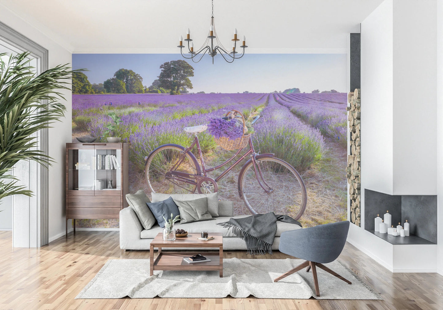Bicycle in Lavender field wallpaper mural of a bike in purple lavender behind a grey sofa and chandelier in a living room