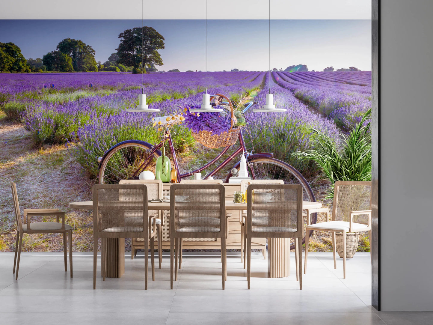 Bicycle in Lavender field wallpaper mural showing a bike in lavender behind a wood cane dining table and chairs