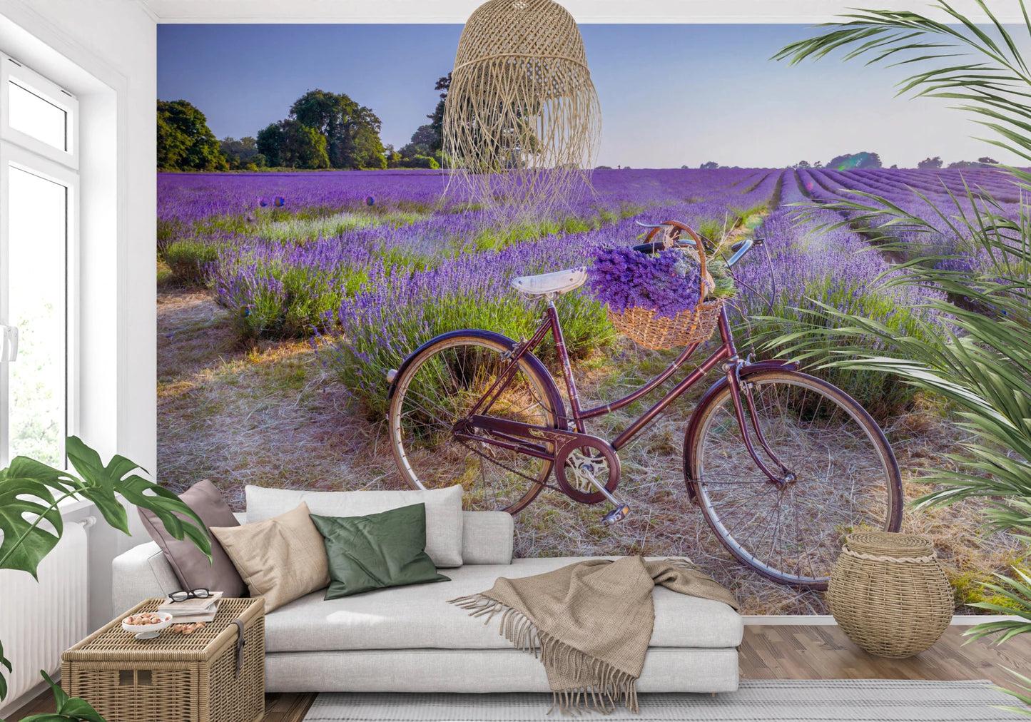 Bicycle in Lavender field wallpaper mural with a vintage red bike in purple lavender behind a white sofa in a living room