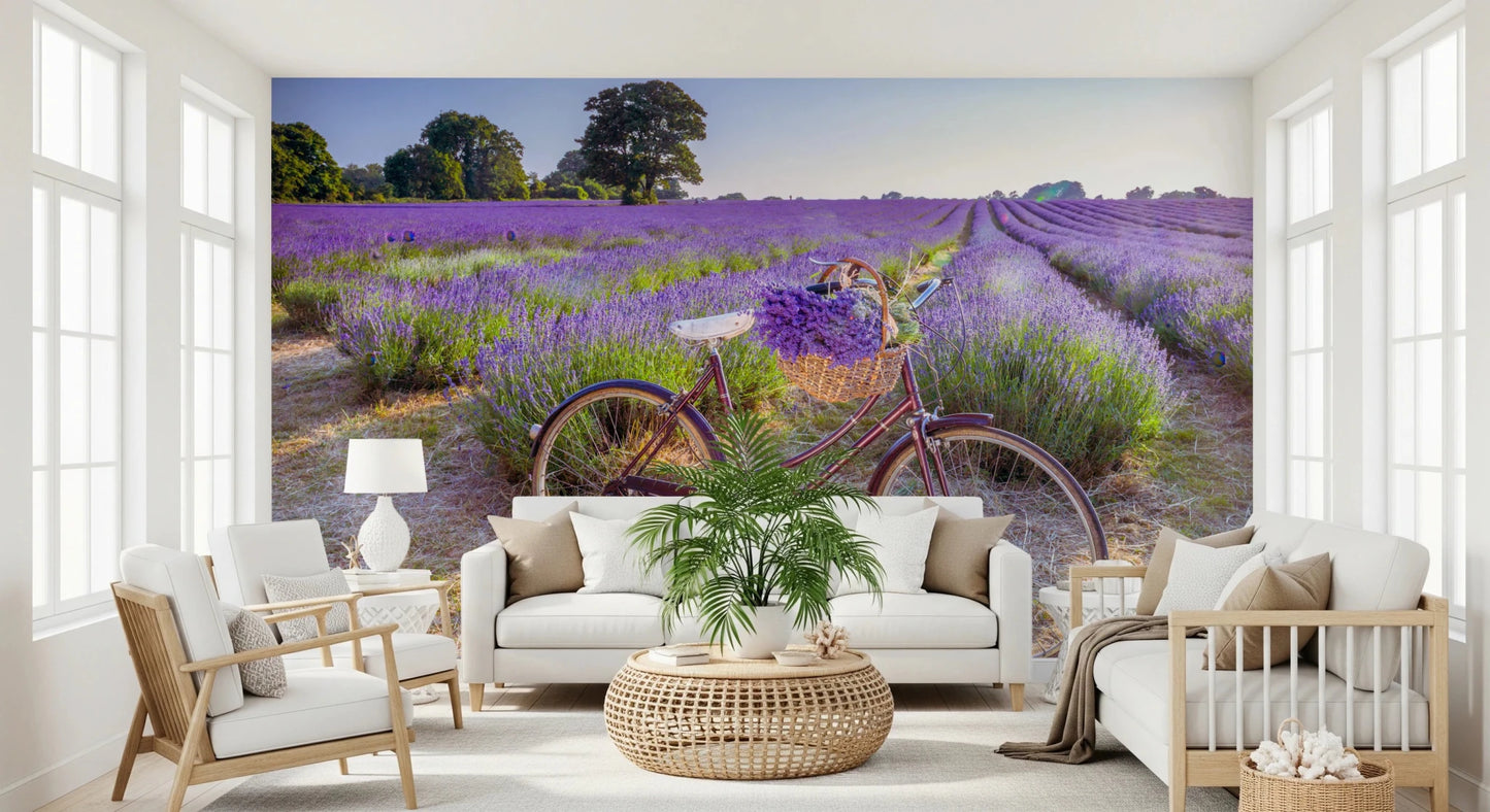 Bicycle in Lavender field wallpaper mural of a red bike in lavender behind white sofas in a bright living room