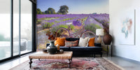 Bicycle in Lavender field wallpaper mural of a bike in lavender behind a navy sofa with orange pillows in a living room