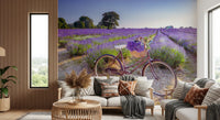 Bicycle in Lavender field wallpaper mural of a red bike in lavender behind cream and grey sofas in a living room