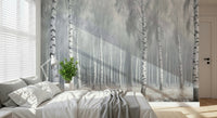 Birch Whispers Wall Mural in hallway, slender tree pattern, neutral wall covering