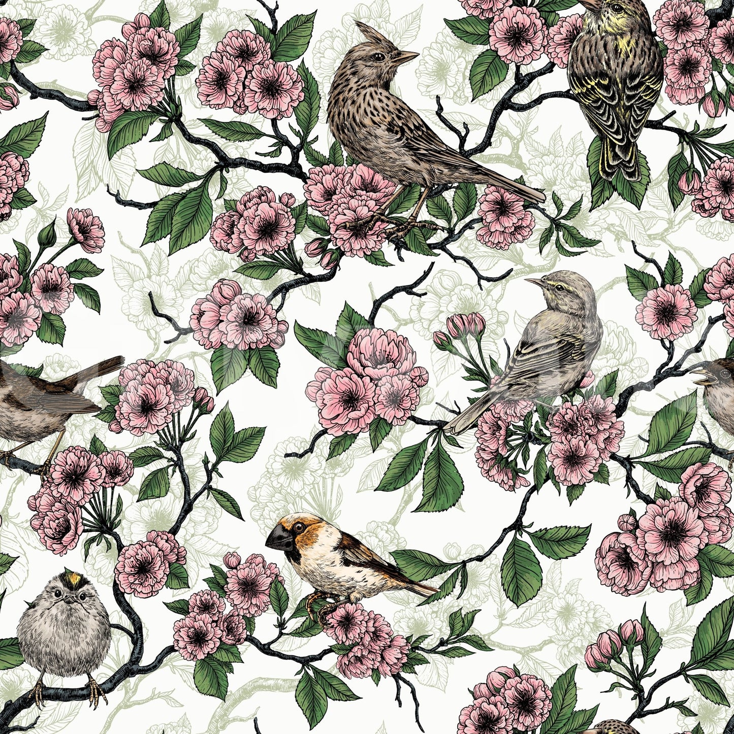 White wallpaper with birds and cherry blossom branches