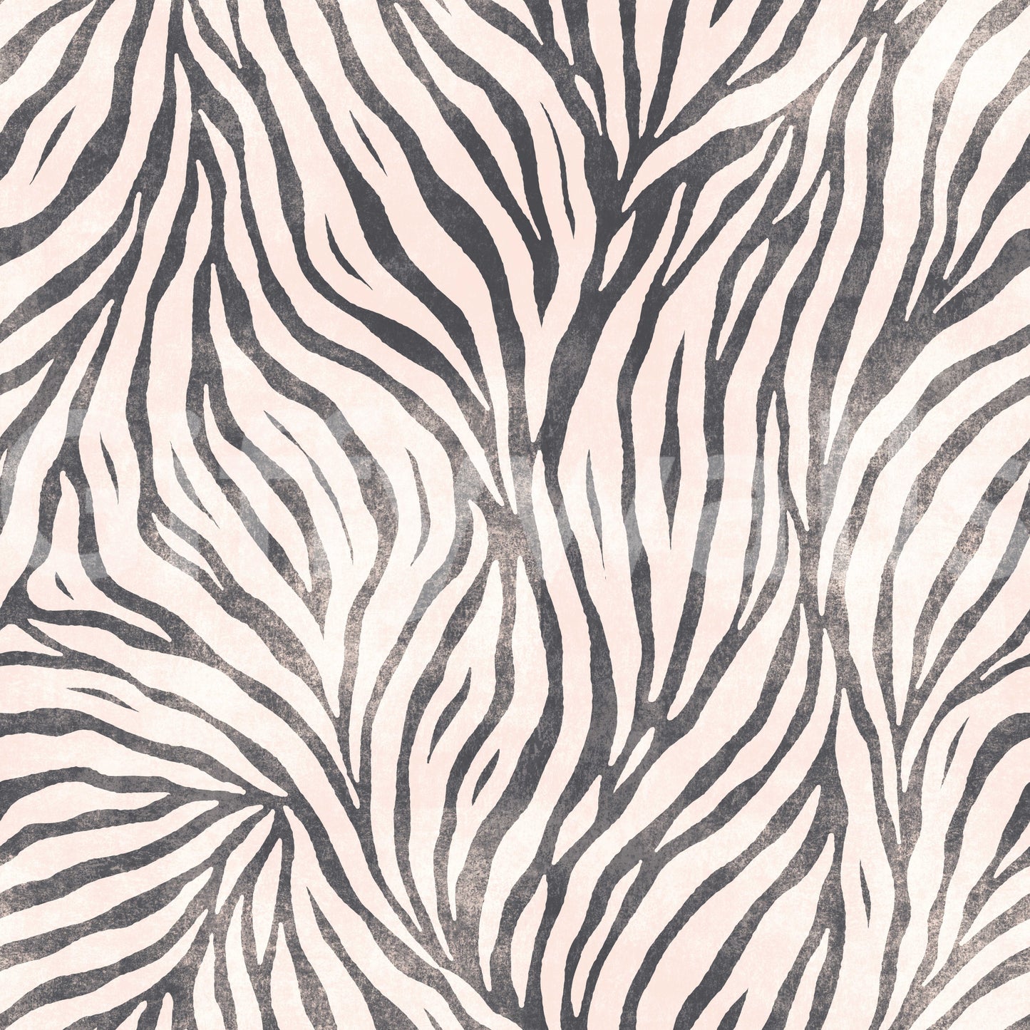 Black and White Boho Zebra Wallpaper⁠