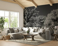 Artistic tree line wallpaper for walls
