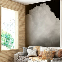 A graceful subtle cloud wall mural in deep, dark tones.


