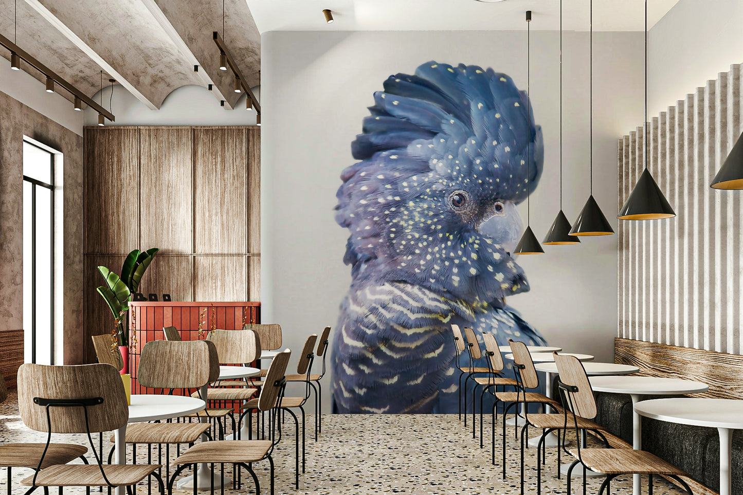 Wildlife-themed Black Cockatoo mural for a bold, natural look.

