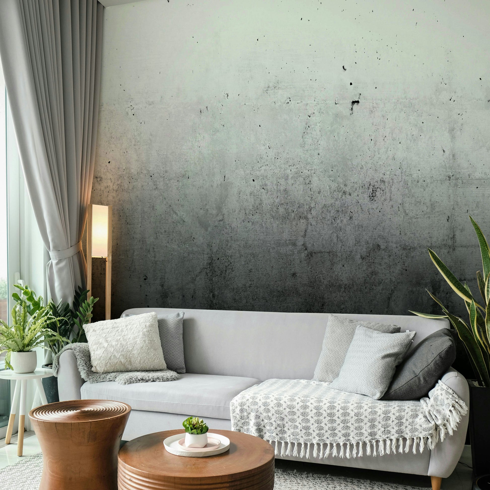 Concrete wall with ombre fade

