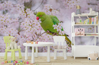 Blossom Bird graceful mural wallpaper
