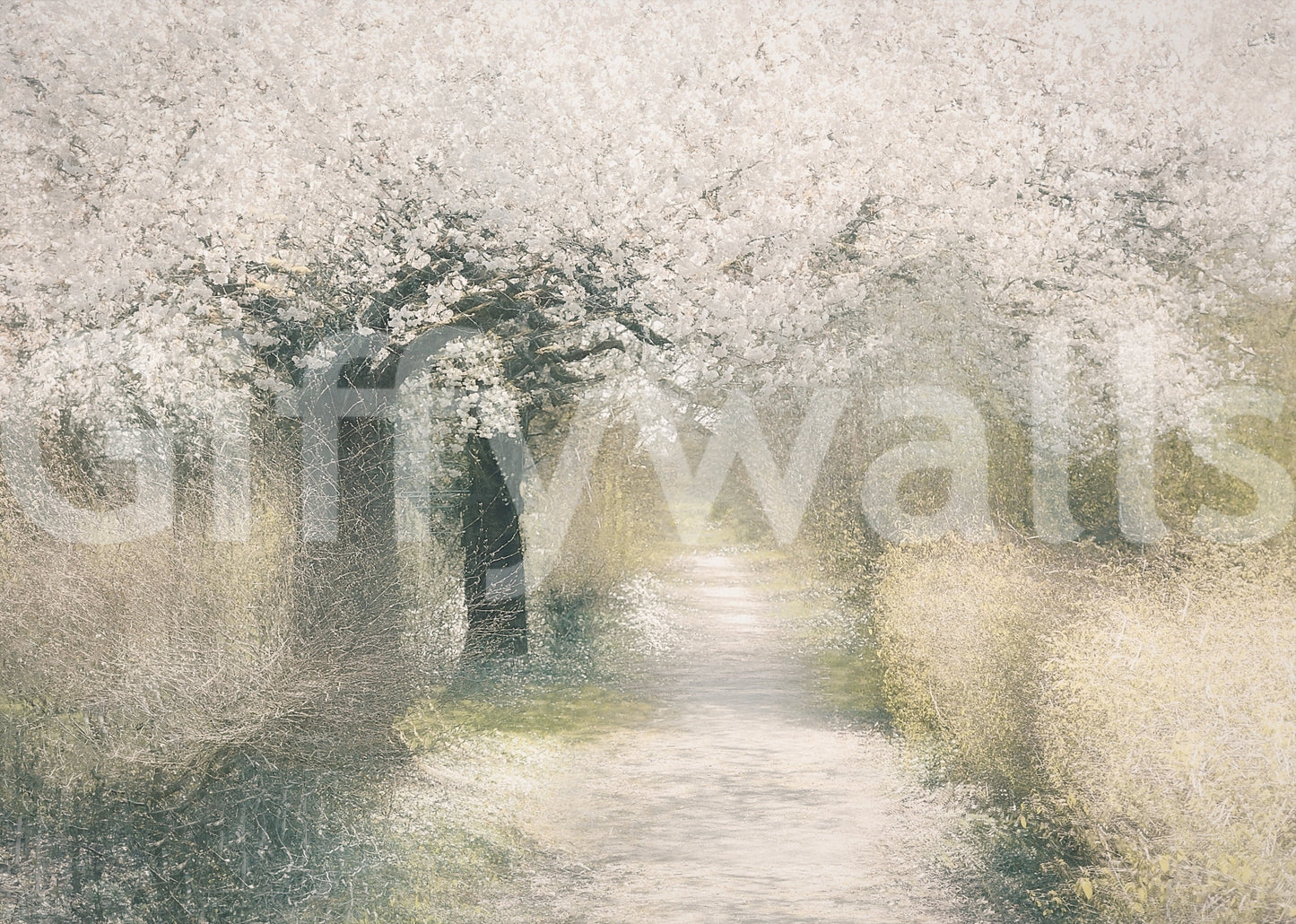 Blossom Trail Wall Mural Same Uploaded on GD5610