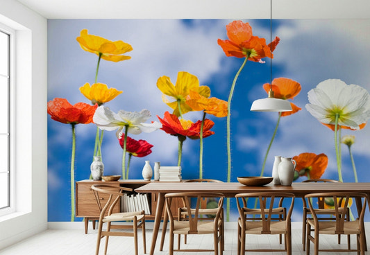 Colorful poppy flowers wall mural under blue sky