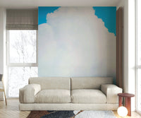 A beautiful modern sky wall mural for a living room.

