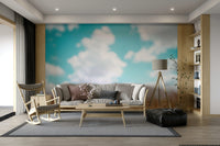 A close-up of the delicate, out-of-focus clouds against a light background.

