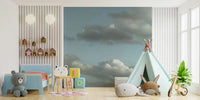 Blue Sky Wall Mural