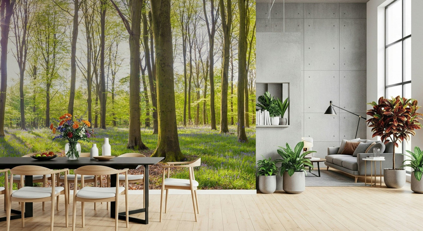 Forest vista Bluebell Woods large wall art bright woodland scene