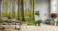 Forest vista Bluebell Woods large wall art bright woodland scene