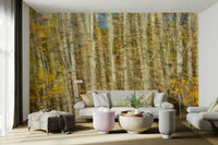 Calm forest in soft blur wallpaper
