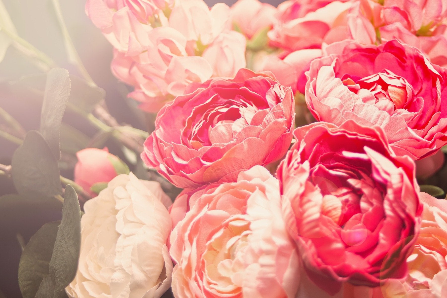 Blooming Pink Flowers Wall Mural in your room — zoomed