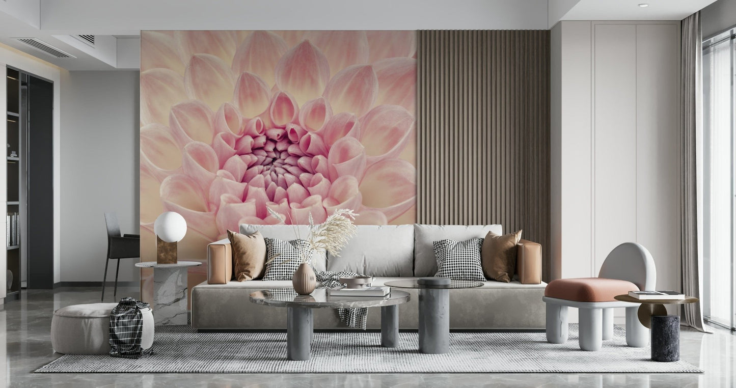 Blush Bloom wallpaper mural of a pink dahlia behind a grey sofa and terracotta chair in a modern living room