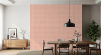 Blush Check Wallpaper⁠