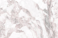 Blush Marble Elegance Wall Mural -2579023