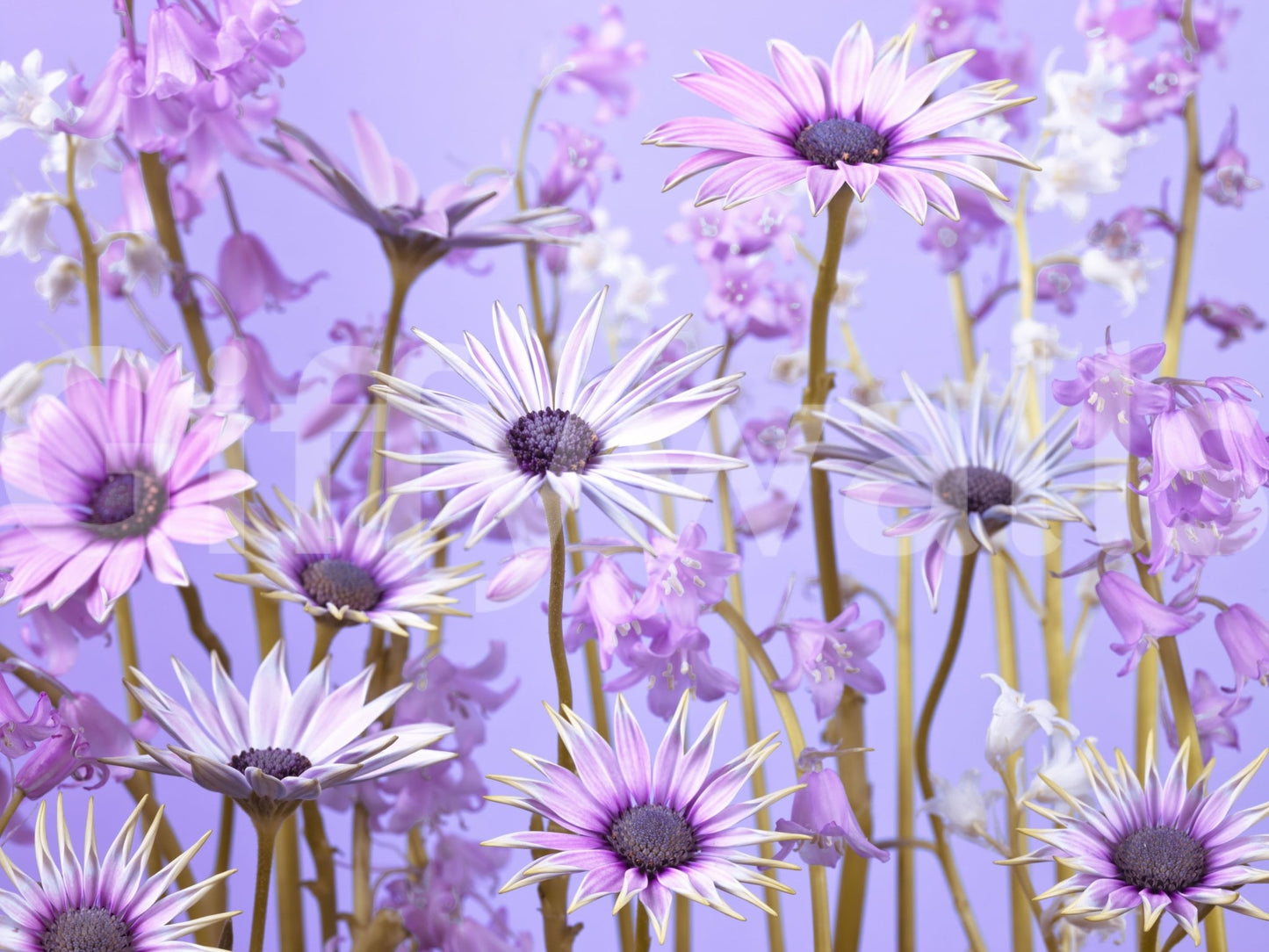 Beautiful green plant and leaf mural for nature-filled decor.

