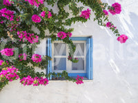 Bougainvillea by Blue Window Wall Mural