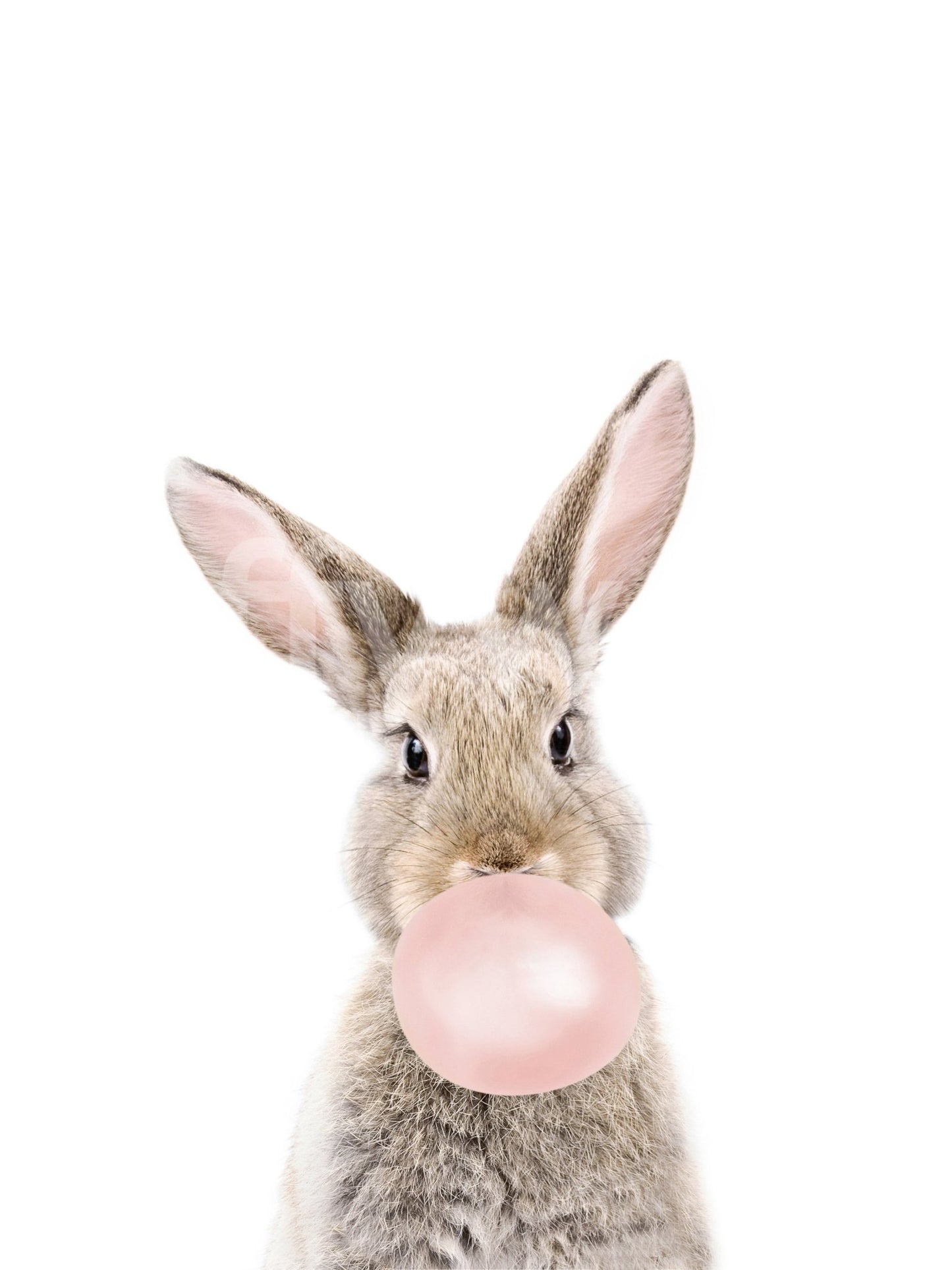 Sweet bunny design with bubbles in the Bubble Gum Bunny mural.

