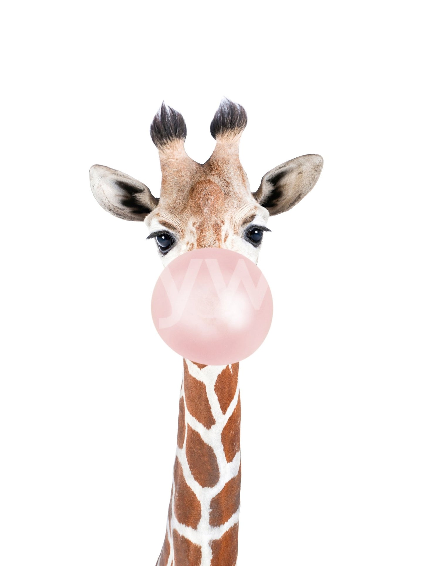 Bubble gum giraffe mural perfect for a lively and fun-filled room.

