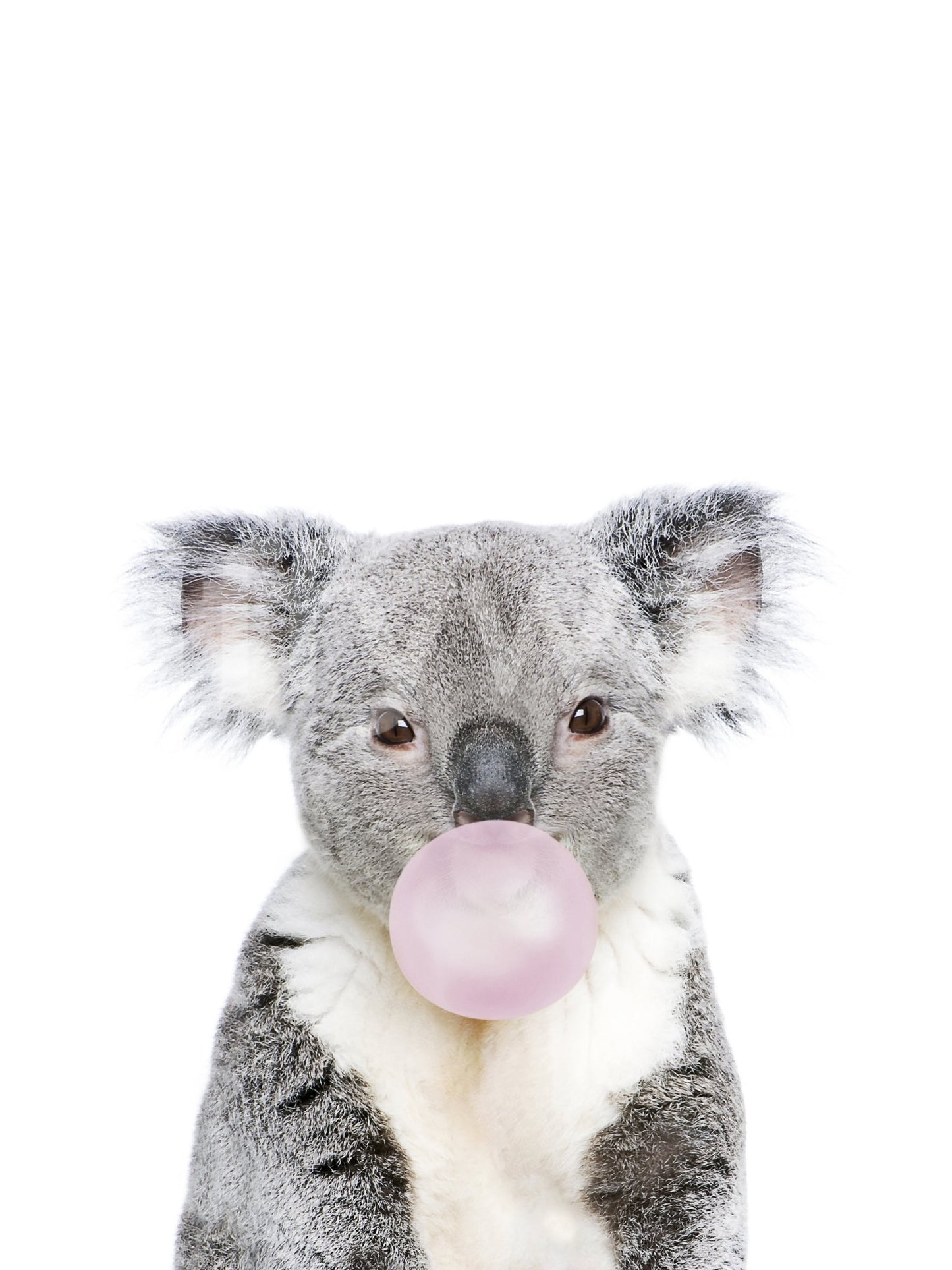 Playful koala mural with bubble gum for adding charm to your decor.

