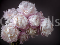 Wall decor evoking natural beauty.

