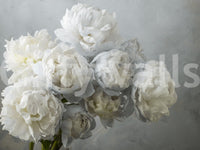Soft petals and green leaves wallpaper
