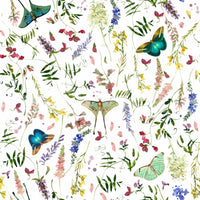 Custom wall mural Butterfly And Blooms delicate petals